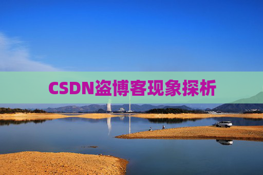 CSDN盗博客现象探析